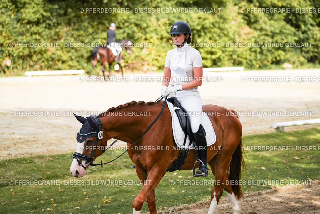 DSC01492 | Pferdegrafie