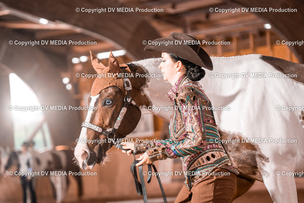 NE200044 | dv-media-shop - Realisiert mit Pictrs.com