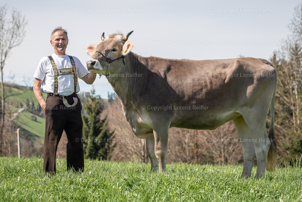 Schwingen -  Lebendpreise Schwägalp 2025 | Schwägalp, 19.4.25, Schwingen - Lebendpreise Schwägalp.