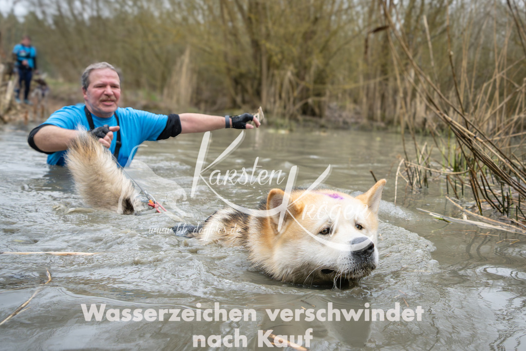 1351_ZZ93493 | kk-dogfotos