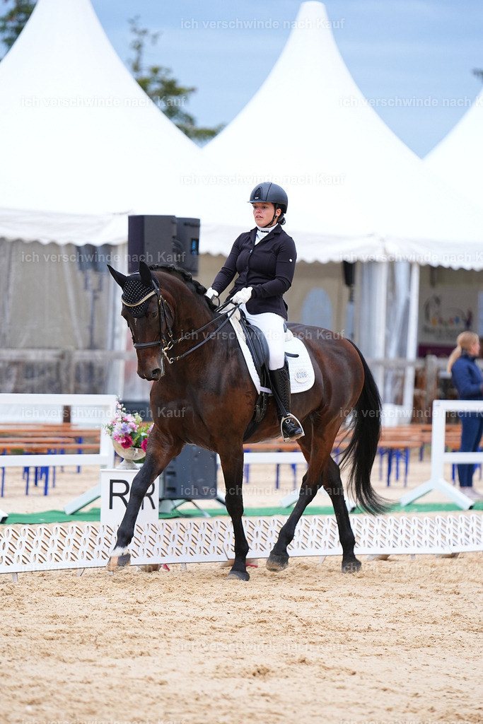 04_2-206-Dressur M__ -Marixx-3050 | working equitationturnier fotograf videograf stoibphotography marixx film working equitation deutschland reitsport turnierfotografie eventfotografie equestrian events