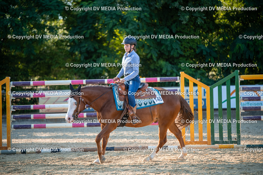 EWP_7241 | dv-media-shop - Realisiert mit Pictrs.com