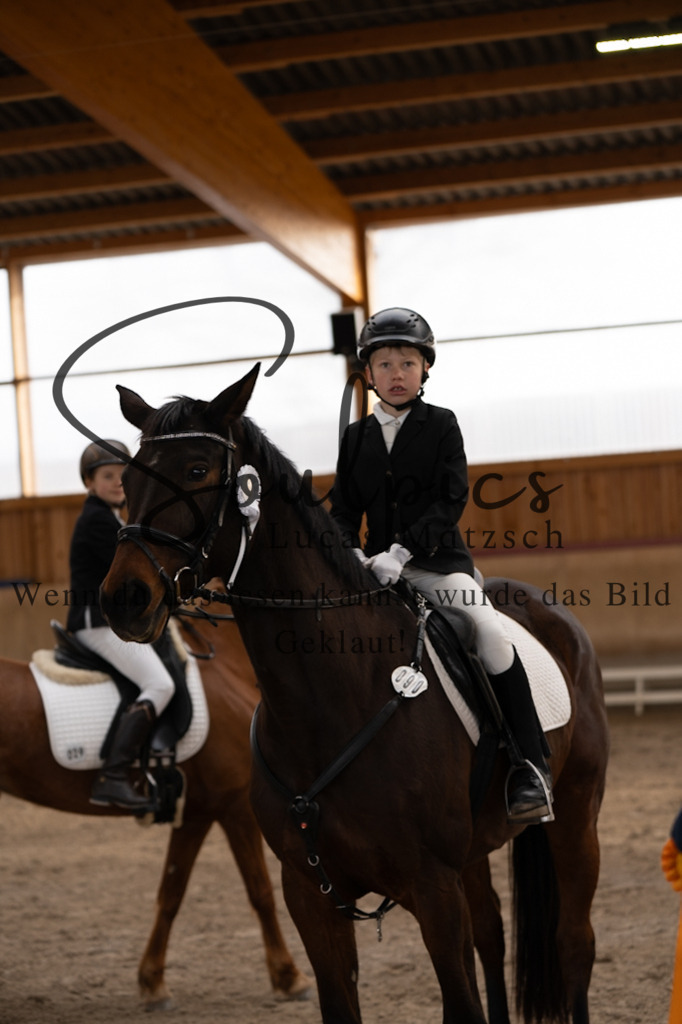 A7V09303 | Pferdefotograf