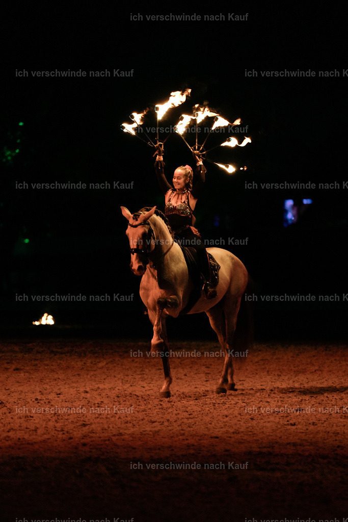 FHClassics-372 | working equitationturnier fotograf videograf stoibphotography marixx film working equitation deutschland reitsport turnierfotografie eventfotografie equestrian events