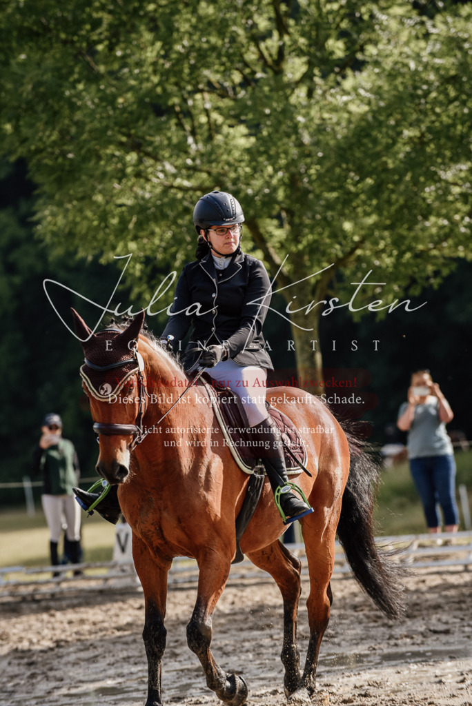DSC_8484 | Pferde- und Turnierfotografie in Westsachsen. Pferdeportraits, Auftragszeichnungen und intuitive Kunst.
