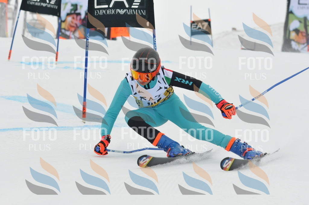 DSC_8414 | holidayphoto