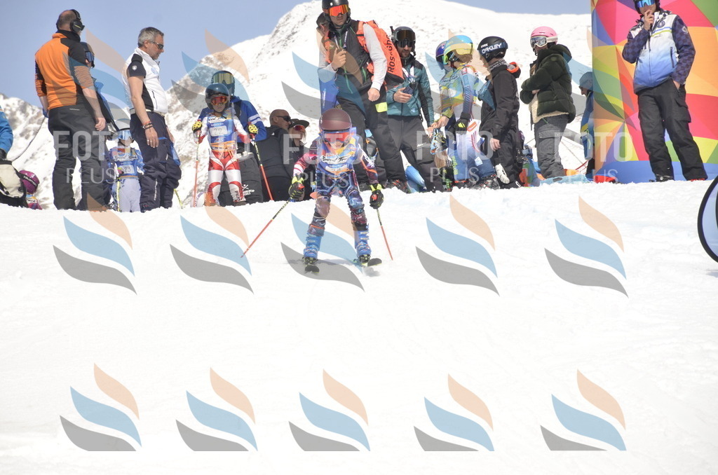 _ELE9030 | holidayphoto