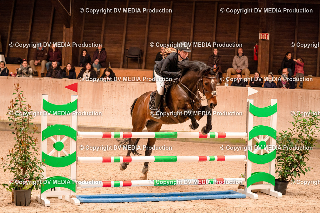 Springen Tag 2-688 | dv-media-shop - Realisiert mit Pictrs.com