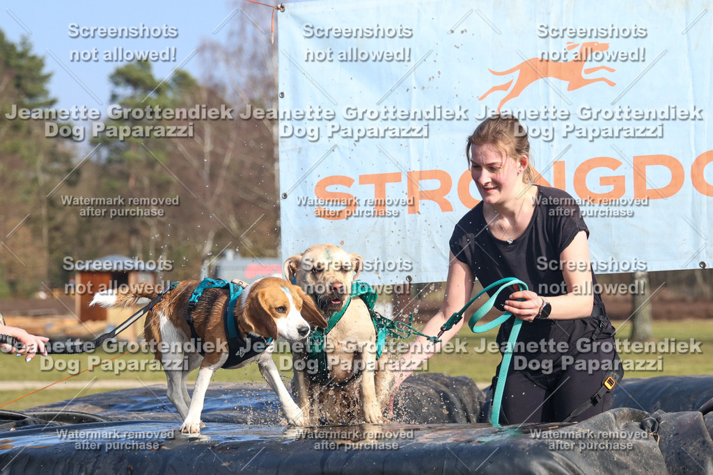 Dog Paparazzi - Strongdog North Mrz26-3184 | Dog Paparazzi Jeanette Grottendiek Fotografie & Videografie - Realisiert mit Pictrs.com