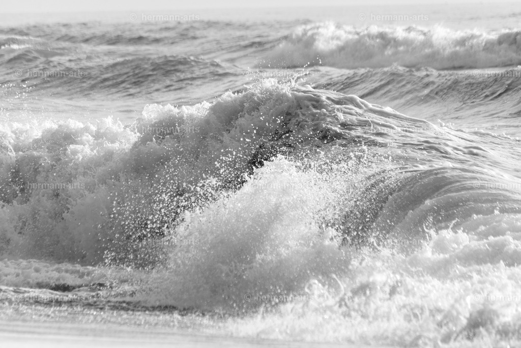 Hermann-Arts_Seaside_072 | Photo Foto Kunst Art schwarzweiss Bilder Rheine Münster Berlin Blumen 