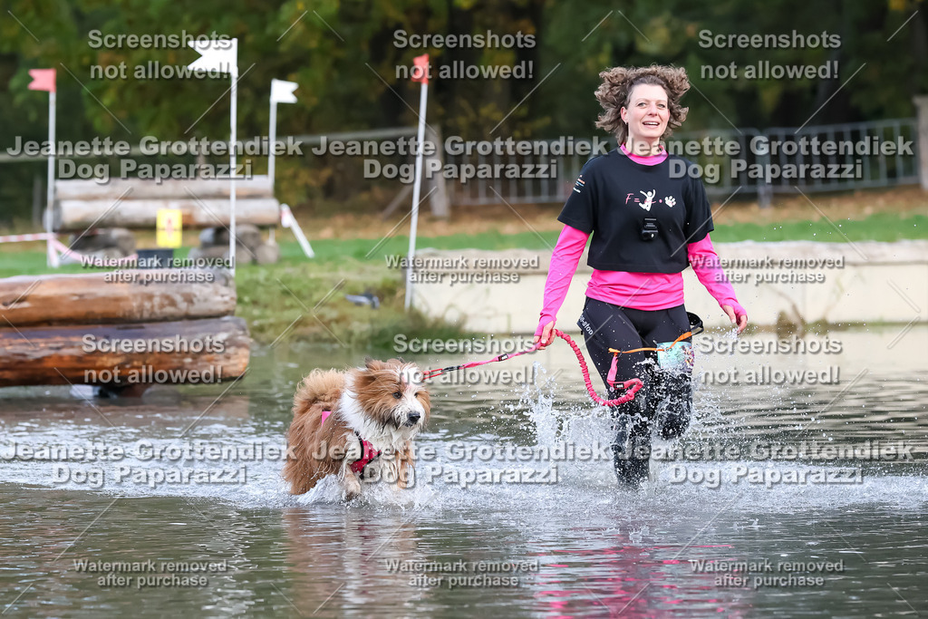 Dog Paparazzi - Strongdog 10-25-6397 | Dog Paparazzi Jeanette Grottendiek Fotografie & Videografie - Realisiert mit Pictrs.com