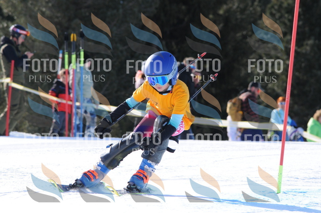 C6934 | holidayphoto