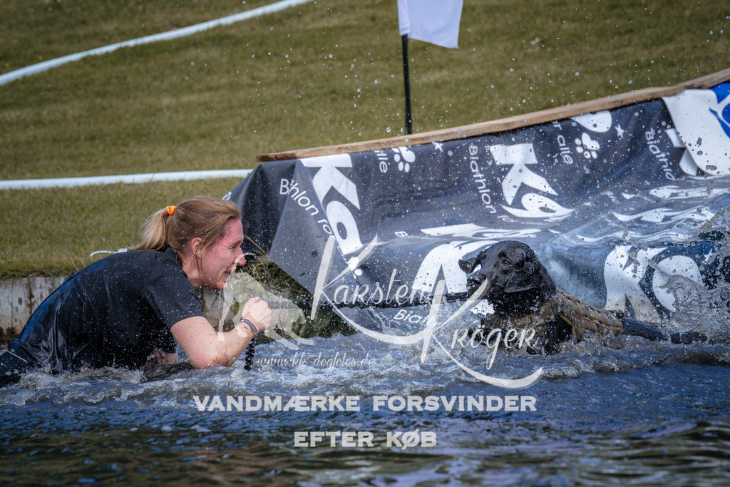 _ZZ944680958 | kk-dogfotos