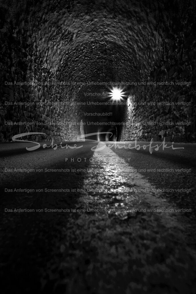 Im Tunnel | People- und Tierfotografie, Imageaufnahmen, Veranstaltungsfotografie und Wandbilder aus der Natur ★ Made in Germany ✔️ Druck + Downloads ✔️ Naturfotografie in Top Qualität ★ schneller Versand, weltweite Lieferung! - Realisiert mit Pictrs.com