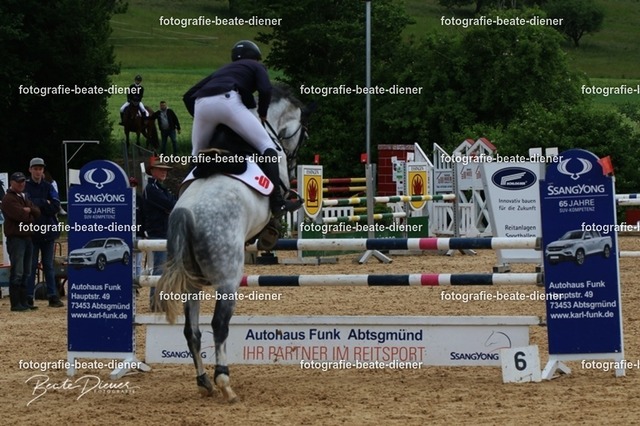 OHT2061 | Fotografie, Tiere, Hunde, Katzen, Pferde, Sportfotografie, Fotosession, Tierfotografie, Turnierfotografie, Fotografin, Fotograf - Realisiert mit Pictrs.com