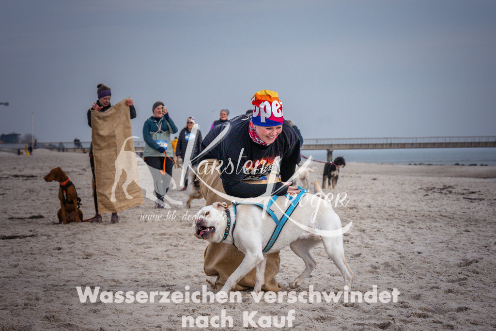 1303_ZZ98141 | kk-dogfotos