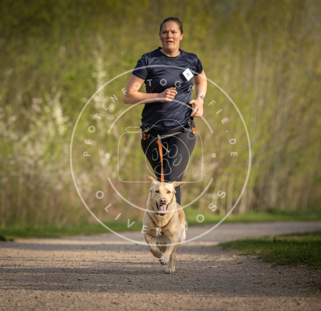 Pfotenfotografie_DV3A4486 | Hundefotografie, Tierfotograf, Pfotenfotografie, Fotoshooting Hund, Hunde Portrait, Hundesport, Hundeportraits, Heideshooting, Hunde, Sportfotograf, Hundefotograf, Turnierhundsport, THS,  - Realisiert mit Pictrs.com