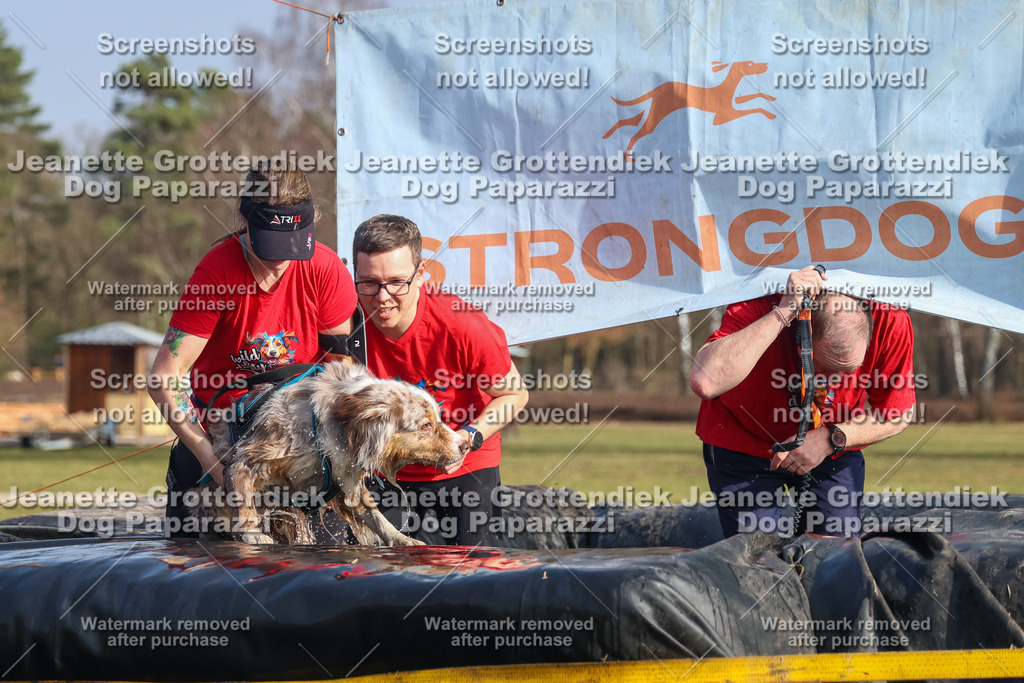 Dog Paparazzi - Strongdog North Mrz26-2600 | Dog Paparazzi Jeanette Grottendiek Fotografie & Videografie - Realisiert mit Pictrs.com