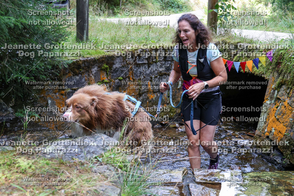Dog Paparazzi -  TH 26-553 | Dog Paparazzi Jeanette Grottendiek Fotografie & Videografie - Realisiert mit Pictrs.com