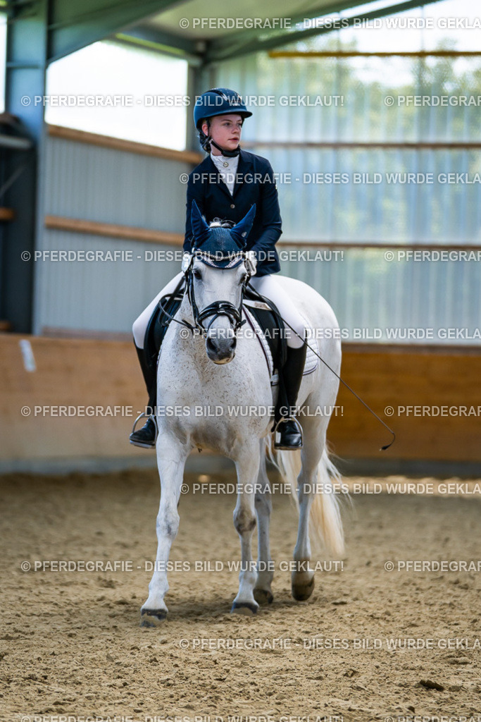 DSC05612 | Pferdegrafie