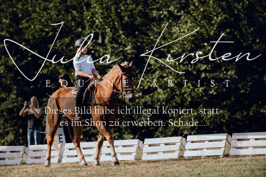DSC_6941 | Pferde- und Turnierfotografie in Westsachsen. Pferdeportraits, Auftragszeichnungen und intuitive Kunst.