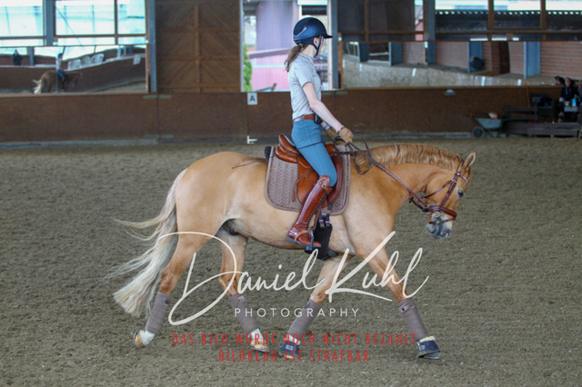 DKP42905 | Turniersportfotografie; Pferdefotografie; Dressurfotografie