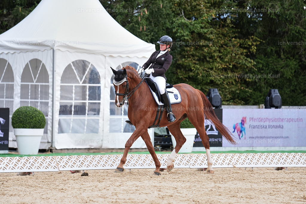 3-210-Dressur M_-Marixx-1978 | working equitationturnier fotograf videograf stoibphotography marixx film working equitation deutschland reitsport turnierfotografie eventfotografie equestrian events