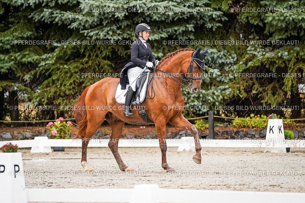 DSC09596 | Pferdegrafie