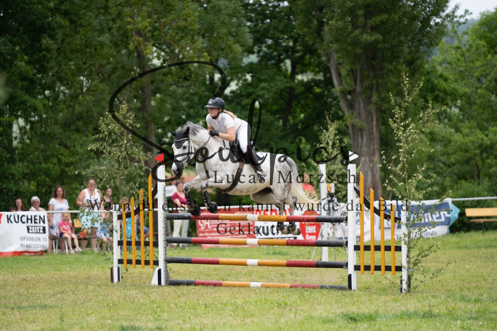 A7V07171 | Pferdefotograf