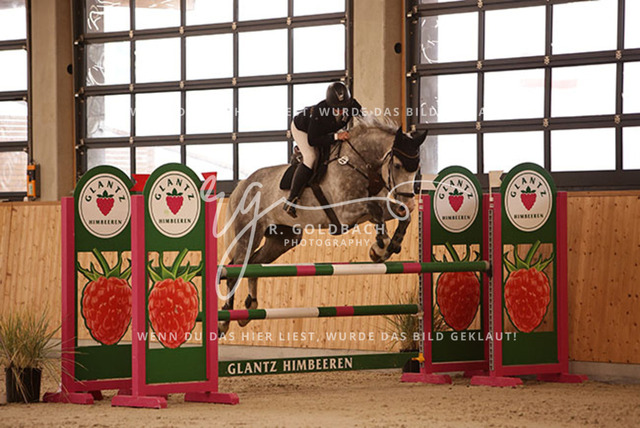 1J2A4192Alina Maack_ Karat du Scal__ Kn302_ Hohen Wieschendorf_ Glantz | Foto- und Videografie für alles rund ums Pferd. Hochwertige Bilder und Videos vom Spring- und Dressurreiten, Voltigieren & mehr. Jetzt aktuelle Veranstaltungen und Preise im Shop ansehen. - Realisiert mit Pictrs.com