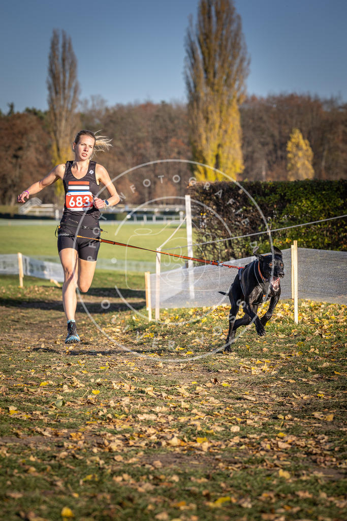CaniXpix_DV3A1135 | Hundefotografie, Tierfotograf, Pfotenfotografie, Fotoshooting Hund, Hunde Portrait, Hundesport, Hundeportraits, Heideshooting, Hunde, Sportfotograf, Hundefotograf, Turnierhundsport, THS,  - Realisiert mit Pictrs.com