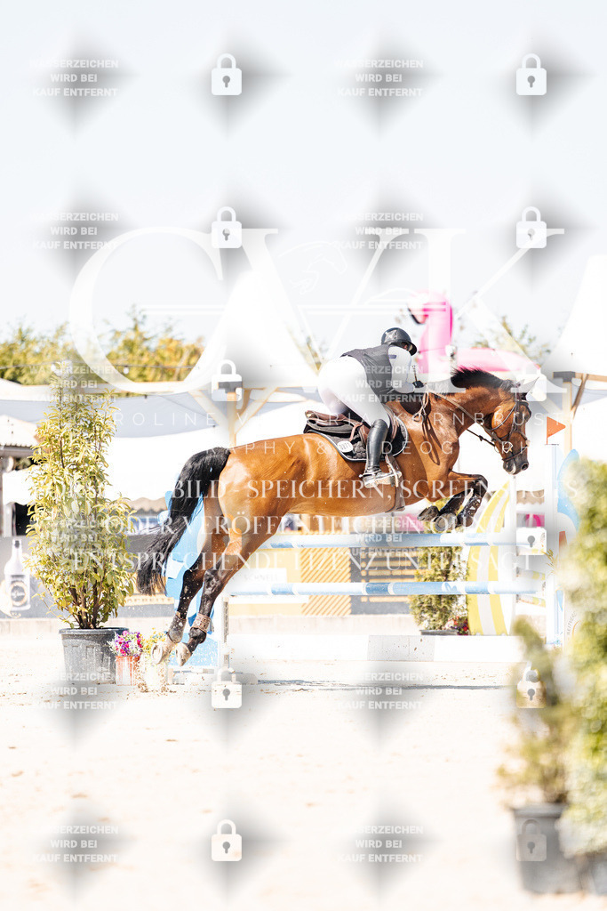 CK909619 | Turnierfotografie Pferdefotografie Trier Rheinland-Pfalz Pferdesport Reitsport Tierfotografie Sportfotografie Pferdevideo Pferdevideografie Equestrianvideography equestrianphotography  - Realisiert mit Pictrs.com