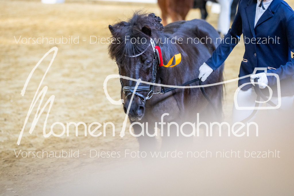 Sth-WBO25-Führ-WB-093 | MomenTaufnahmen Pferdesportfotos