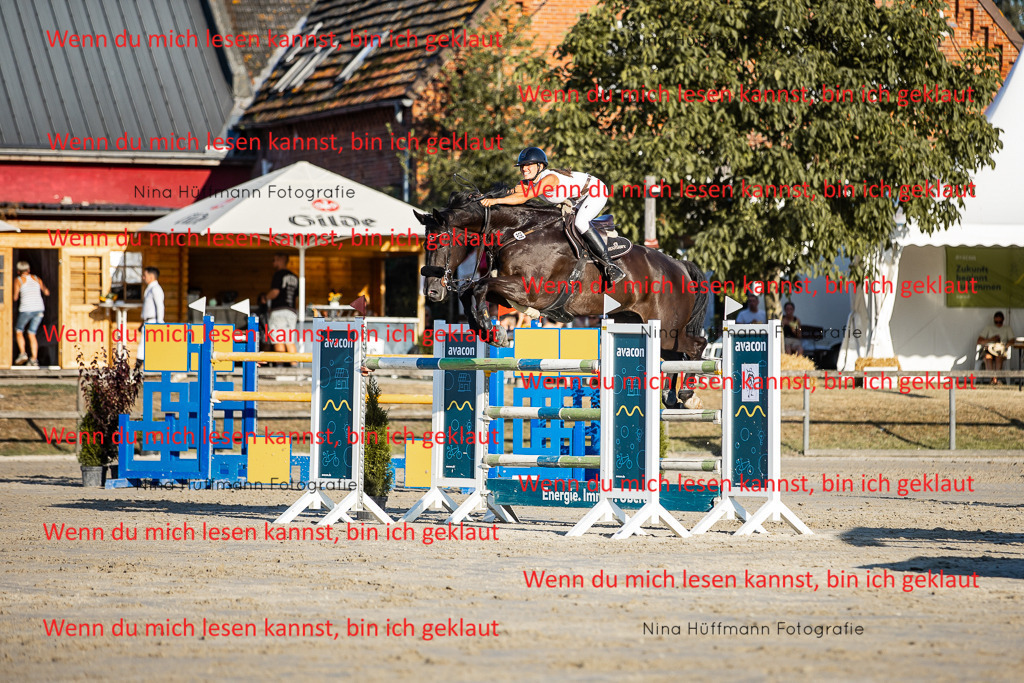 BK1A8831 | Turnierbilder Turnierfotos Nina Hüffmann Turnierfotografie Pferdefotografie Tierzeichnung Haustierzeichnung Pferdezeichnung Hundezeichnung Videograf  - Realisiert mit Pictrs.com