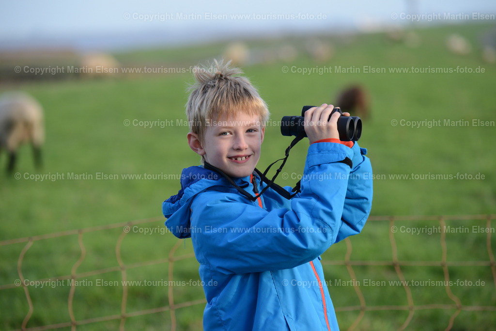 Vogelkieker Freiburg_ELS_4832 | Freiburg an der Elbe - Aufnahmedatum: 25.10.2015, Aufnahmehöhe:  m, Koordinaten:  - , Bildgröße: 7360 x  4912 Pixel - Copyright 2015 by Martin Elsen, Kontakt: Tel.: +49 157 74581206, E-Mail: info@schoenes-foto.deSchlagwörter:Vogelkieker,Bus,Kinder,Vogel,Vögel,Gänse,Nonnengänse,Wildgänse,Zugvögel,Außendeich,KVG,Natur,Wildganstage, Foto - Realisiert mit Pictrs.com