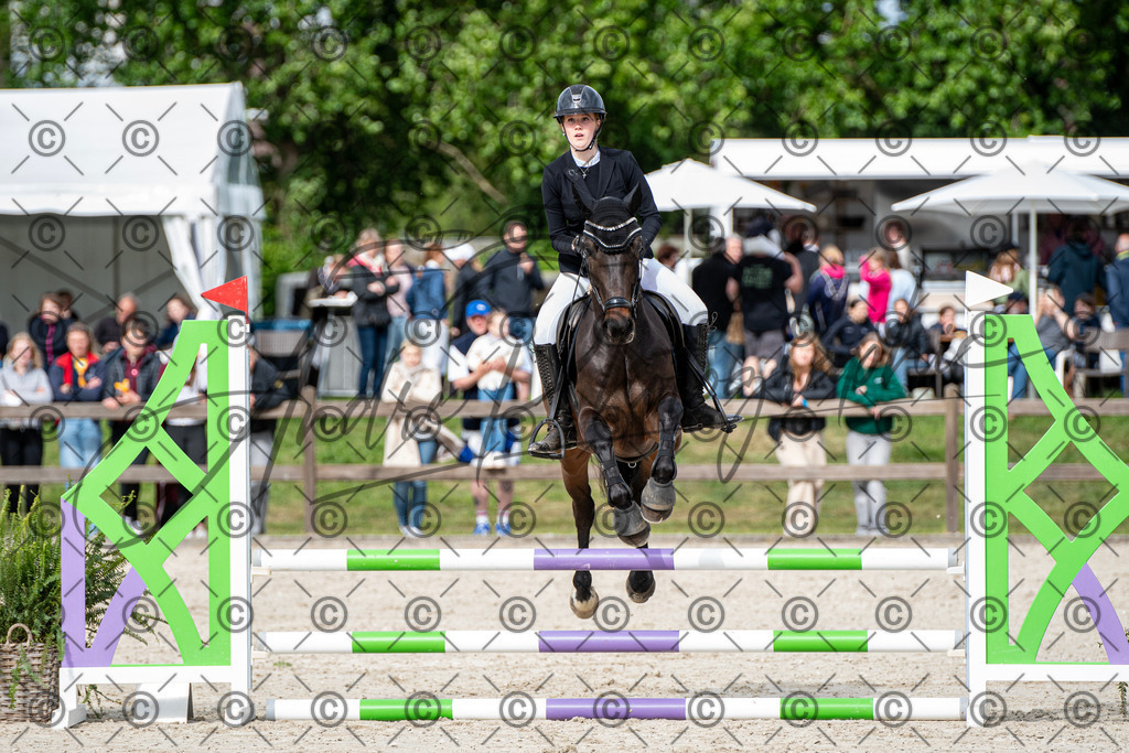 KPT_6523 | andre_photographic