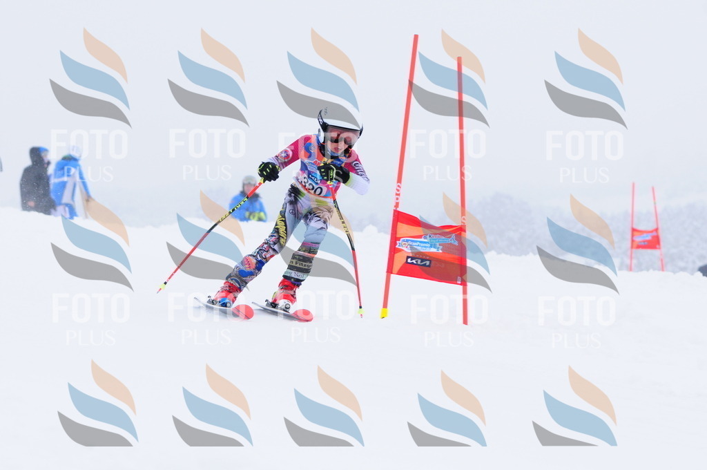 C3402 | holidayphoto