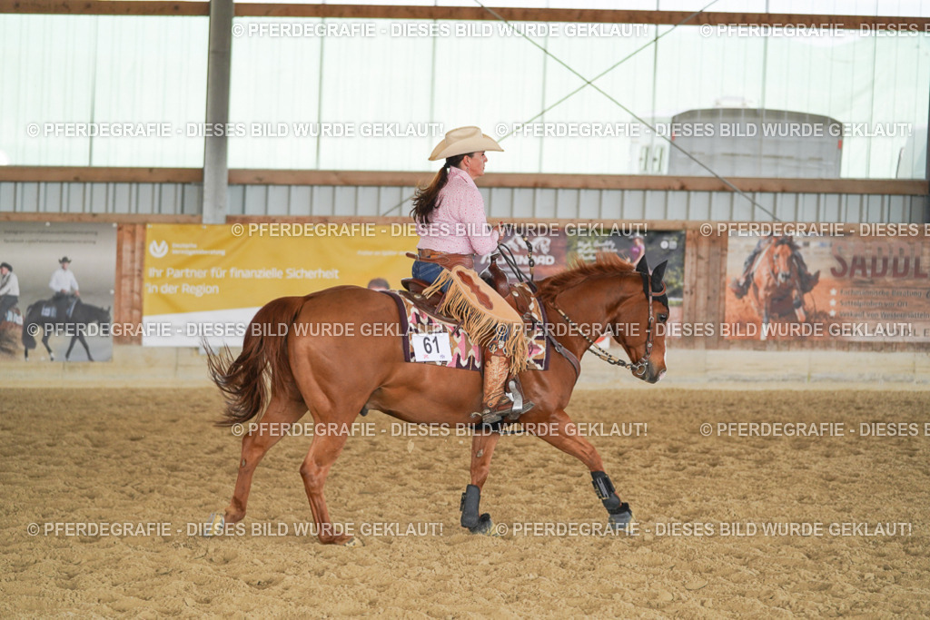 DSC02056 | Pferdegrafie