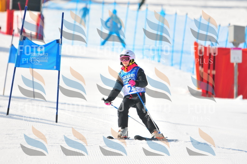 B9085 | holidayphoto