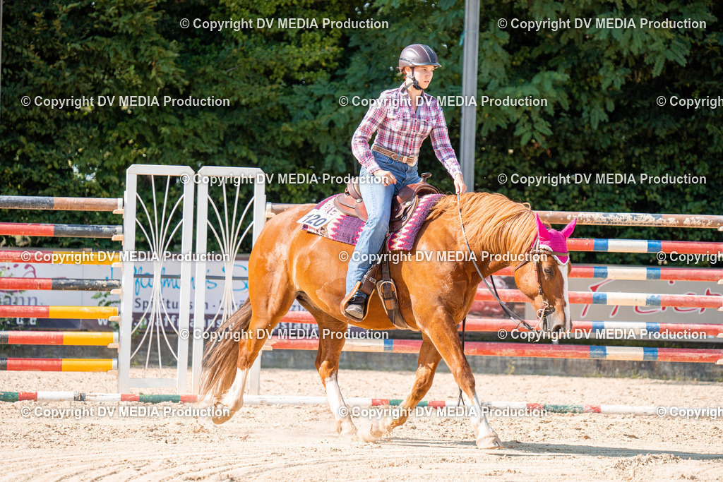 ZH100698 | dv-media-shop - Realisiert mit Pictrs.com