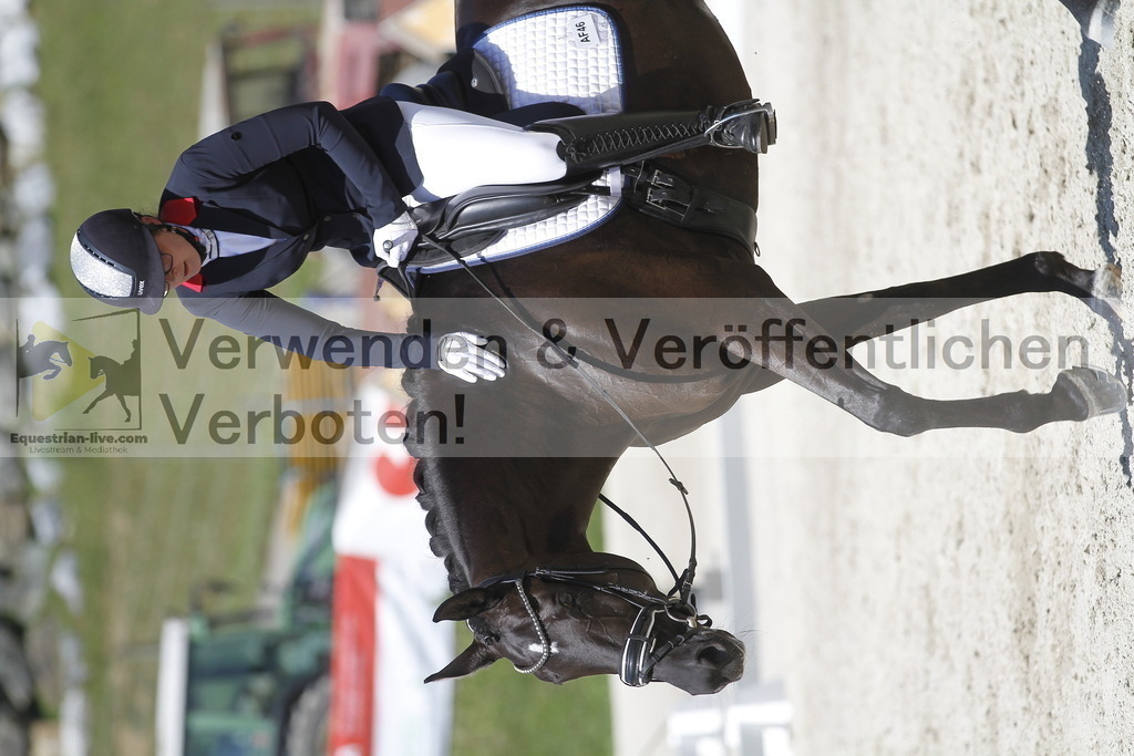 _MG_0270 | equestrian-live-com