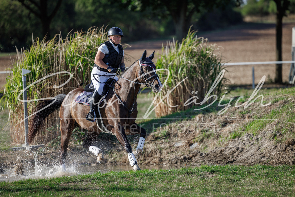 20260905-_3LI0743 | Tierfotografie Pferde, Hunde, Katzen, Haustiere.
Turnierfotografie Reitturniere, Reiten, Springreiten, Dressur in Hanau, dem Main-Kinzig-Kreis und dem Rhein-Main- Gebiet um Frankfurt