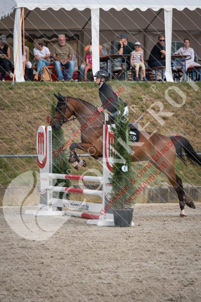 ND5_8943 | Sport-, Event- und Tierfotos in Profiqualität. Einfach auswählen, bestellen und herunterladen. Dein Moment – perfekt festgehalten.