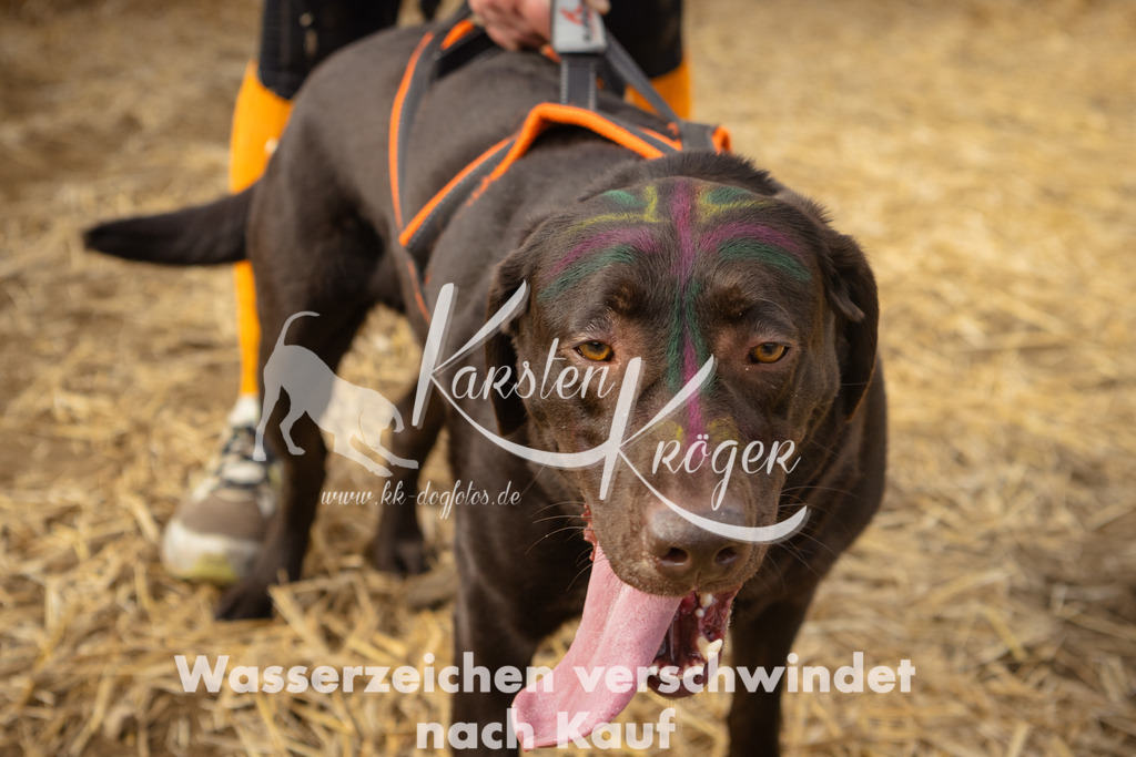 1051_ZZ90452 | kk-dogfotos