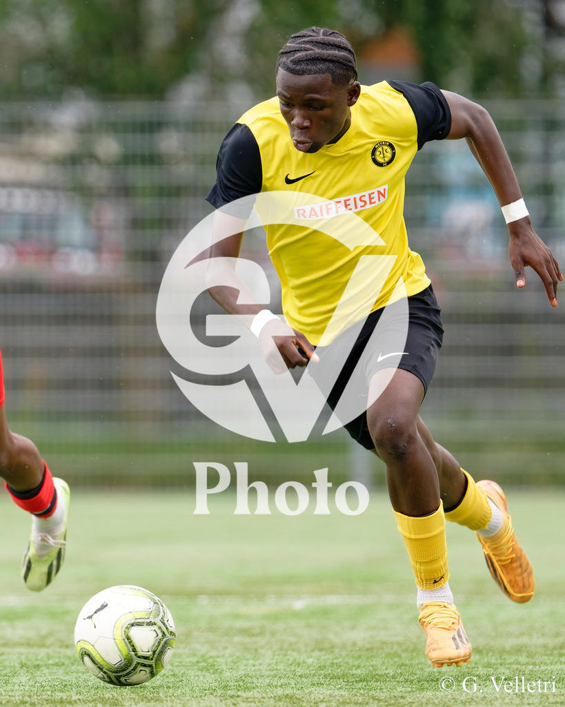 DSC_6878 | Velletri Photo