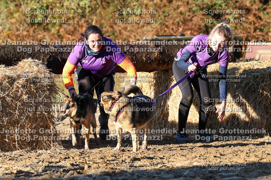 Dog Paparazzi - Strongdog 10-25-1079 | Dog Paparazzi Jeanette Grottendiek Fotografie & Videografie - Realisiert mit Pictrs.com