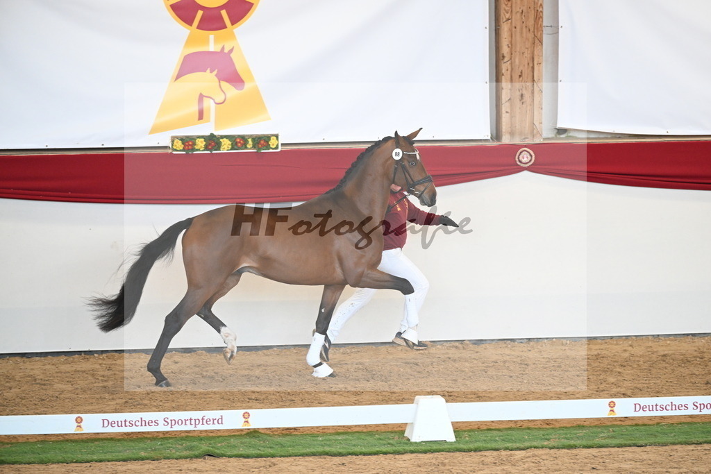 Kat.-Nr. 88 v. Vitalis_Schlamminger_2250668 | hf-fotografie - Realisiert mit Pictrs.com