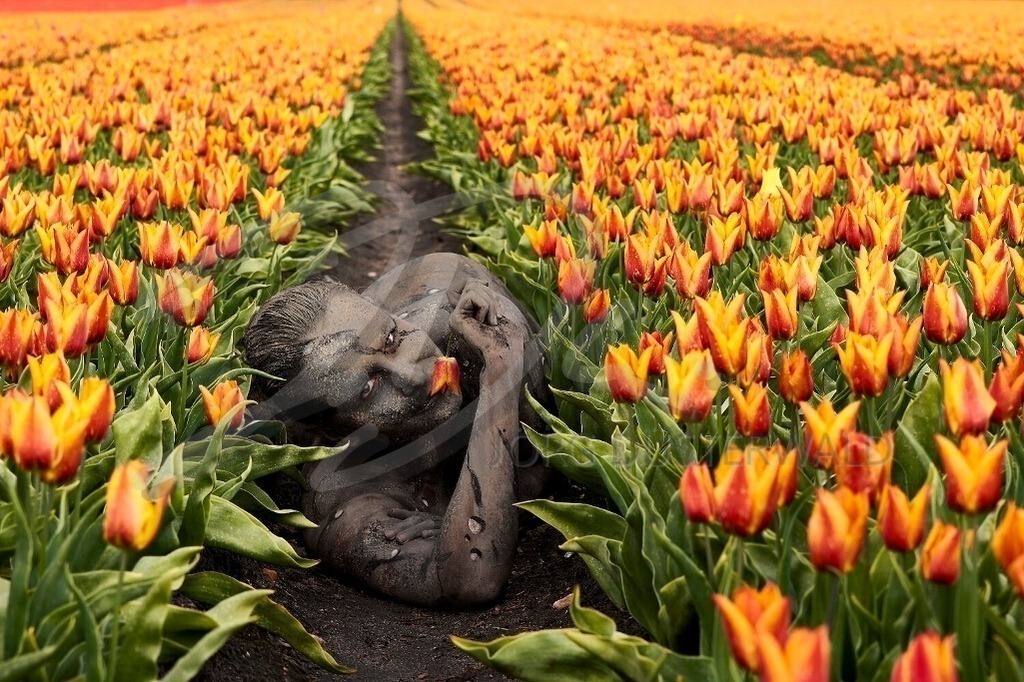 NatureArt-TULPENFELD_66b | Orangene Tulpenküsse | #003 | Modell: Katey | Foto: Ulrich Stamm - Realisiert mit Pictrs.com