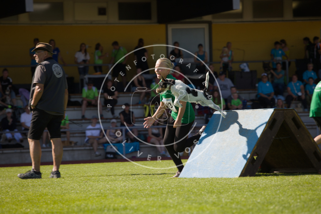 0L8A7711 | Hundefotografie, Tierfotograf, Pfotenfotografie, Fotoshooting Hund, Hunde Portrait, Hundesport, Hundeportraits, Heideshooting, Hunde, Sportfotograf, Hundefotograf, Turnierhundsport, THS,  - Realisiert mit Pictrs.com