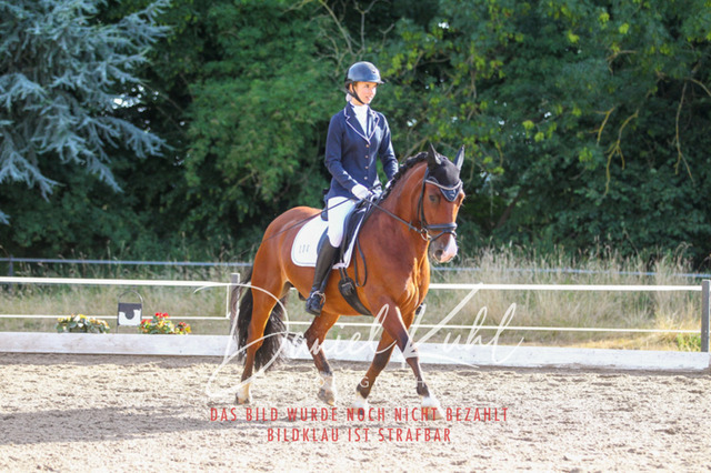 DKP45461 | Turniersportfotografie; Pferdefotografie; Dressurfotografie